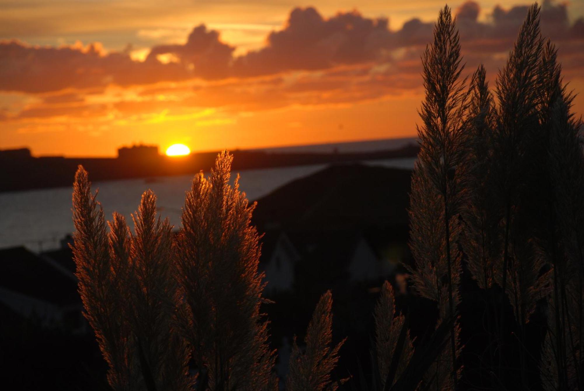 The Whipsiderry 3* Newquay (Cornwall)